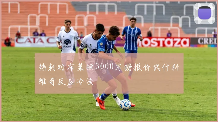热刺对布莱顿3000万镑报价武什科维奇反应冷淡