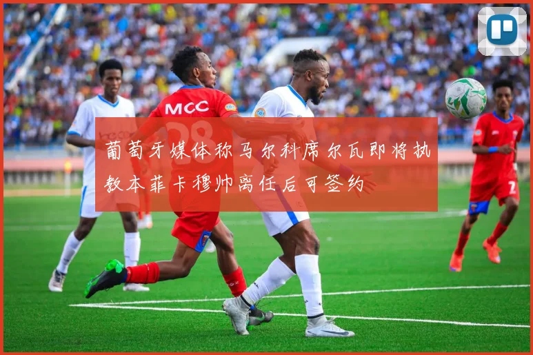 葡萄牙媒体称马尔科席尔瓦即将执教本菲卡穆帅离任后可签约